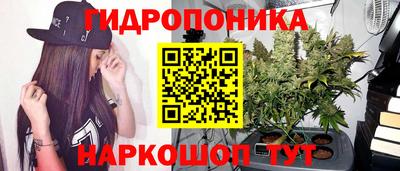 амф Обь