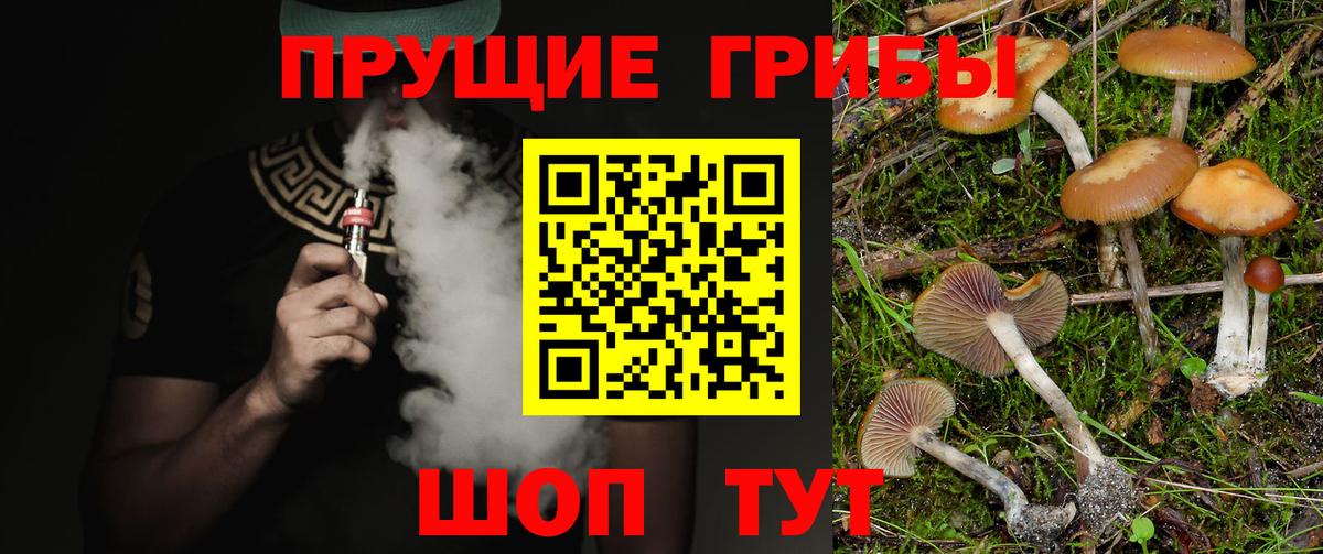 Галлюциногенные грибы Psilocybine cubensis  Вход с VPN  Туапсе  Псилоцибиновые грибы ЛСД 
